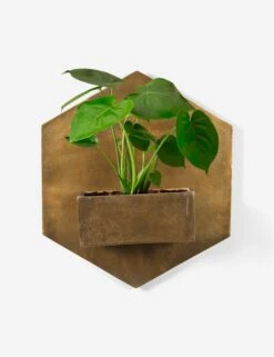 Larayne Hexagon Wall Planter