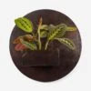 Larayne Circle Wall Planter -Home Decor Sale 108857 001 grp 1