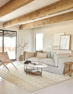 Eris Rug -Home Decor Sale 20200129 raw and refined6939 eris