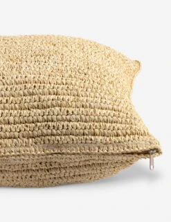 Hara Pillow -Home Decor Sale 231459 001 DET 3