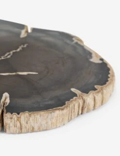 Farzana Petrified Wood Slab -Home Decor Sale 232006 001 DET 1 6de56715 48c7 4281 94d5 4b66079360a4