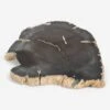 Farzana Petrified Wood Slab -Home Decor Sale 232006 001 DET 5 57f893b2 4cc8 4df6 b3a6 fd254973bded