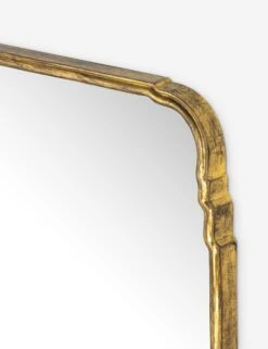 Teresa Full Length Mirror -Home Decor Sale 234804 001 DET 1