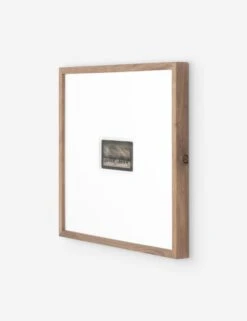 Monarch Of The Plain Photography Print By Gold Rush Art Co -Home Decor Sale 235583 001 PRM 2