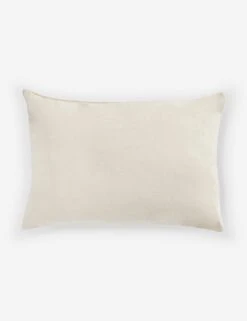 Cumbre Pillow -Home Decor Sale 235730 015 BCK 1