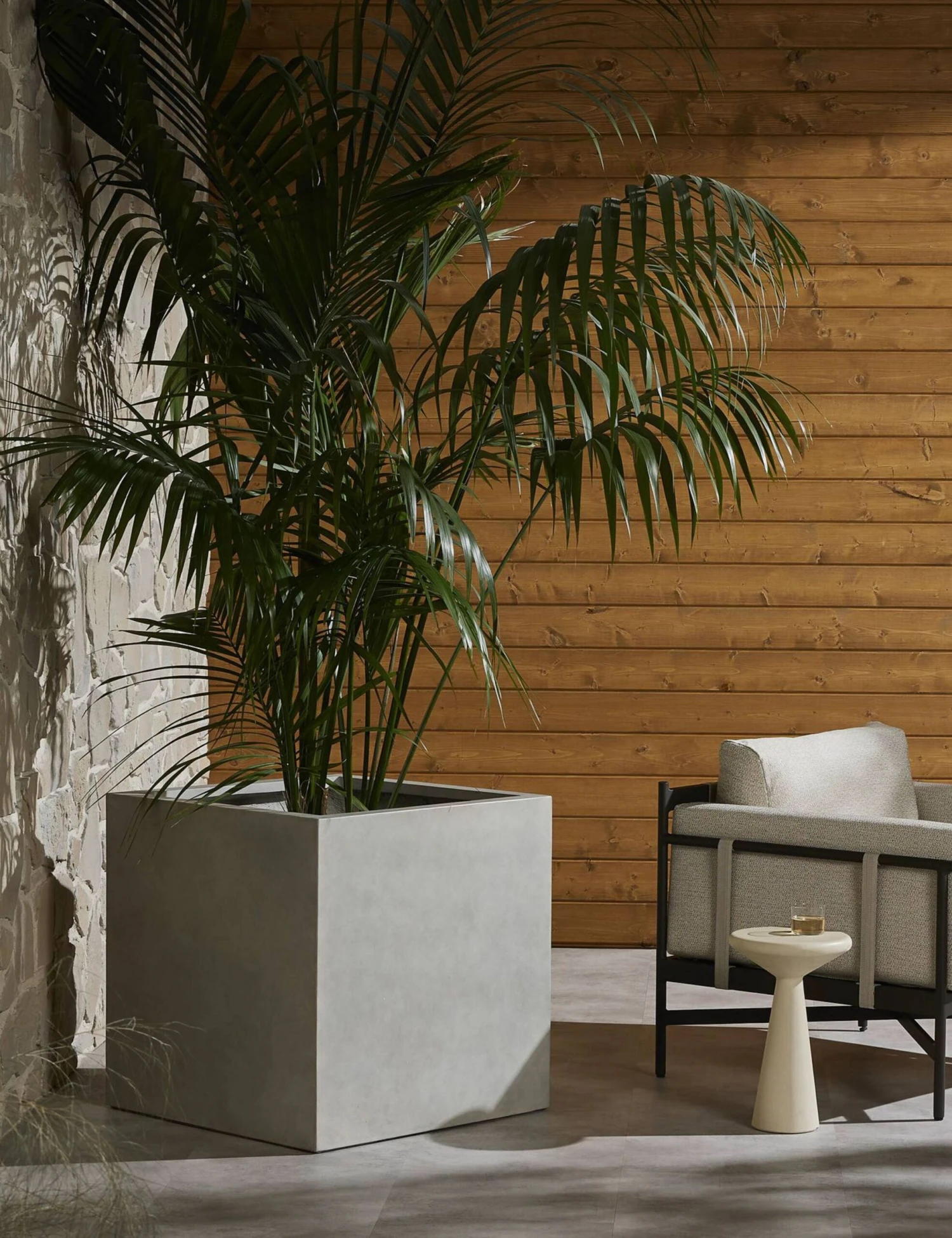 Sanchez Planter 3 Sanchez Planter