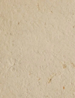 Sumba Pedestal (Set Of 2) By Amber Lewis X Four Hands 17 Sumba Pedestal (Set Of 2) By Amber Lewis X Four Hands -Home Decor Sale 247308 001 DET 2