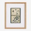 Summer Weeds II Wall Art By Shaina Page -Home Decor Sale 248729 003 PRM 1