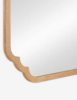 Dandridge Mirror -Home Decor Sale 41915 5
