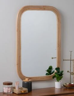 Reyna Mirror -Home Decor Sale 41916 5
