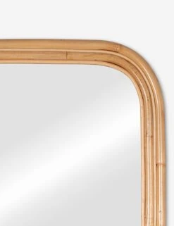 Reyna Mirror -Home Decor Sale 41916 7