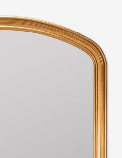 Oralie Full Length Mirror -Home Decor Sale 42200 5