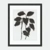Sprig VIII Wall Art By Fern Cassidy -Home Decor Sale 52GCFC1288 OG LUL