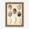 Speckled Egg I Wall Art By Helen Parker -Home Decor Sale 52GCHP0469 FMA LN LUL