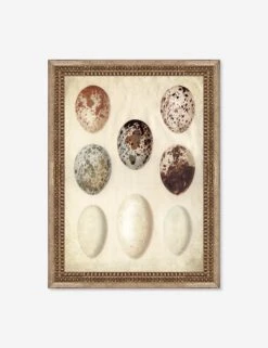 Speckled Egg I Wall Art By Helen Parker