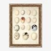 Speckled Egg II Wall Art By Helen Parker -Home Decor Sale 52GCHP0470 FMA LN LUL