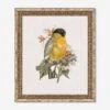 Wings Of Wonder Wall Art By Lilly Kinsey -Home Decor Sale 52GCLK0134 FMA LN LUL