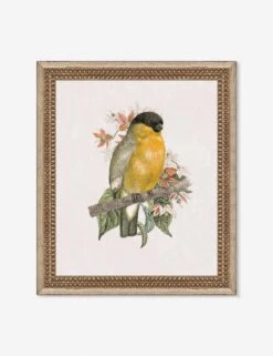 Wings Of Wonder Wall Art By Lilly Kinsey