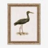 Heron Friend I Wall Art By Old World -Home Decor Sale 52OW0001 FMA LN LUL