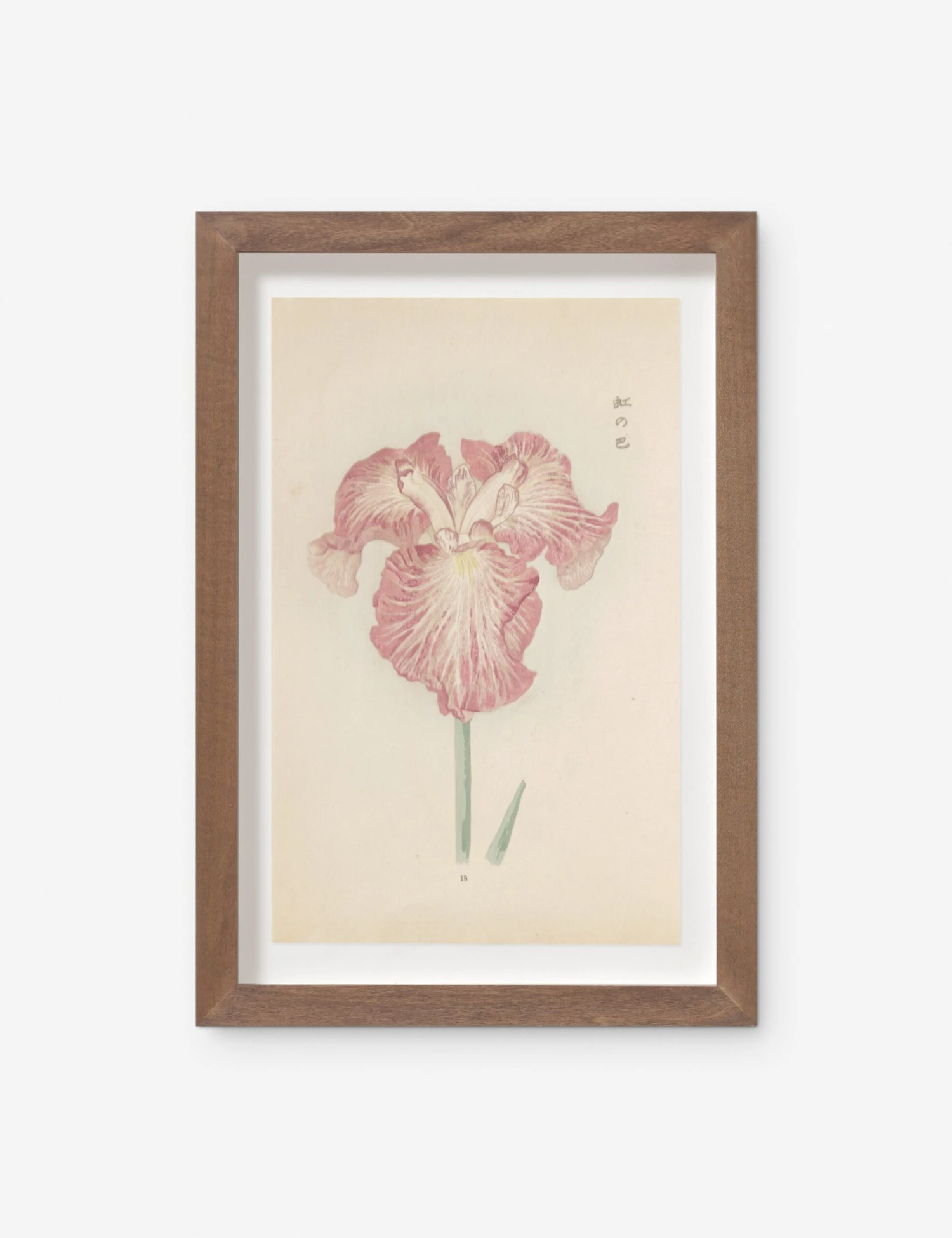 Vintage Japanese Iris No. 18 Wall Art By Miyoshi Manabu 3 Vintage Japanese Iris No. 18 Wall Art By Miyoshi Manabu