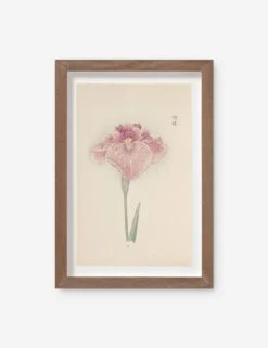 Vintage Japanese Iris No. 19 Wall Art By Miyoshi Manabu