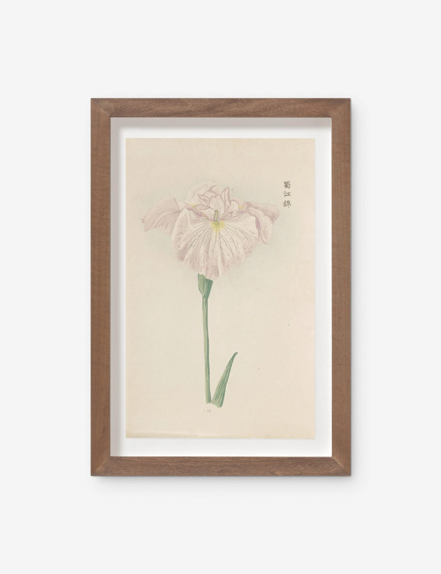 Vintage Japanese Iris No. 22 Wall Art By Miyoshi Manabu 3 Vintage Japanese Iris No. 22 Wall Art By Miyoshi Manabu