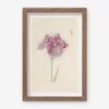 Vintage Japanese Iris No. 24 Wall Art By Miyoshi Manabu 1 Vintage Japanese Iris No. 24 Wall Art By Miyoshi Manabu -Home Decor Sale AFLWR 24 7.5X12.25