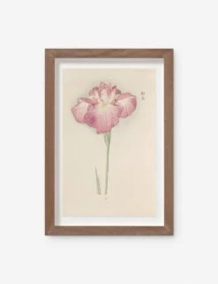 Vintage Japanese Iris No. 26 Wall Art By Miyoshi Manabu