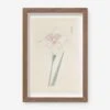 Vintage Japanese Iris No. 36 Wall Art By Miyoshi Manabu -Home Decor Sale AFLWR 36 7.5X12.25