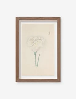 Vintage Japanese Iris No. 43 Wall Art By Miyoshi Manabu