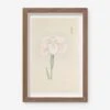 Vintage Japanese Iris No. 48 Wall Art By Miyoshi Manabu