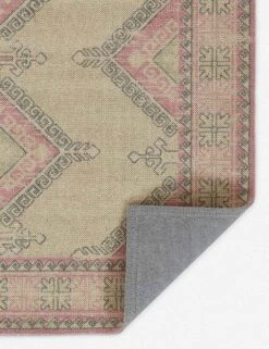 Omarian Rug -Home Decor Sale ANATOANA10PNK 2
