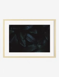 Still Life 3 Photography Print By Ashley Johnson -Home Decor Sale AshleyJohnsonStillLIfePack7 3naturalframe