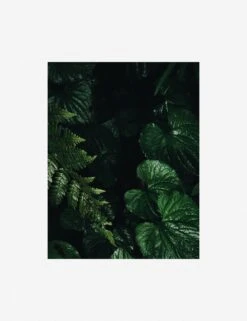 Still Life 14 Photography Print By Ashley Johnson -Home Decor Sale AshleyJohnsonStillLifePack7 14unframed