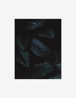 Still Life 3 Photography Print By Ashley Johnson -Home Decor Sale AshleyJohnsonStillLifePack7 3unframed