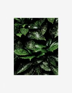 Still Life 7 Photography Print By Ashley Johnson -Home Decor Sale AshleyJohnsonStillLifePack7 7unframed