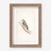 Vintage Bird Watercolor No. 00 Wall Art By Visual Contrast -Home Decor Sale BIRDWC 00 5x8 948c506c a2fb 4dfd bf7e eae0e50c4840