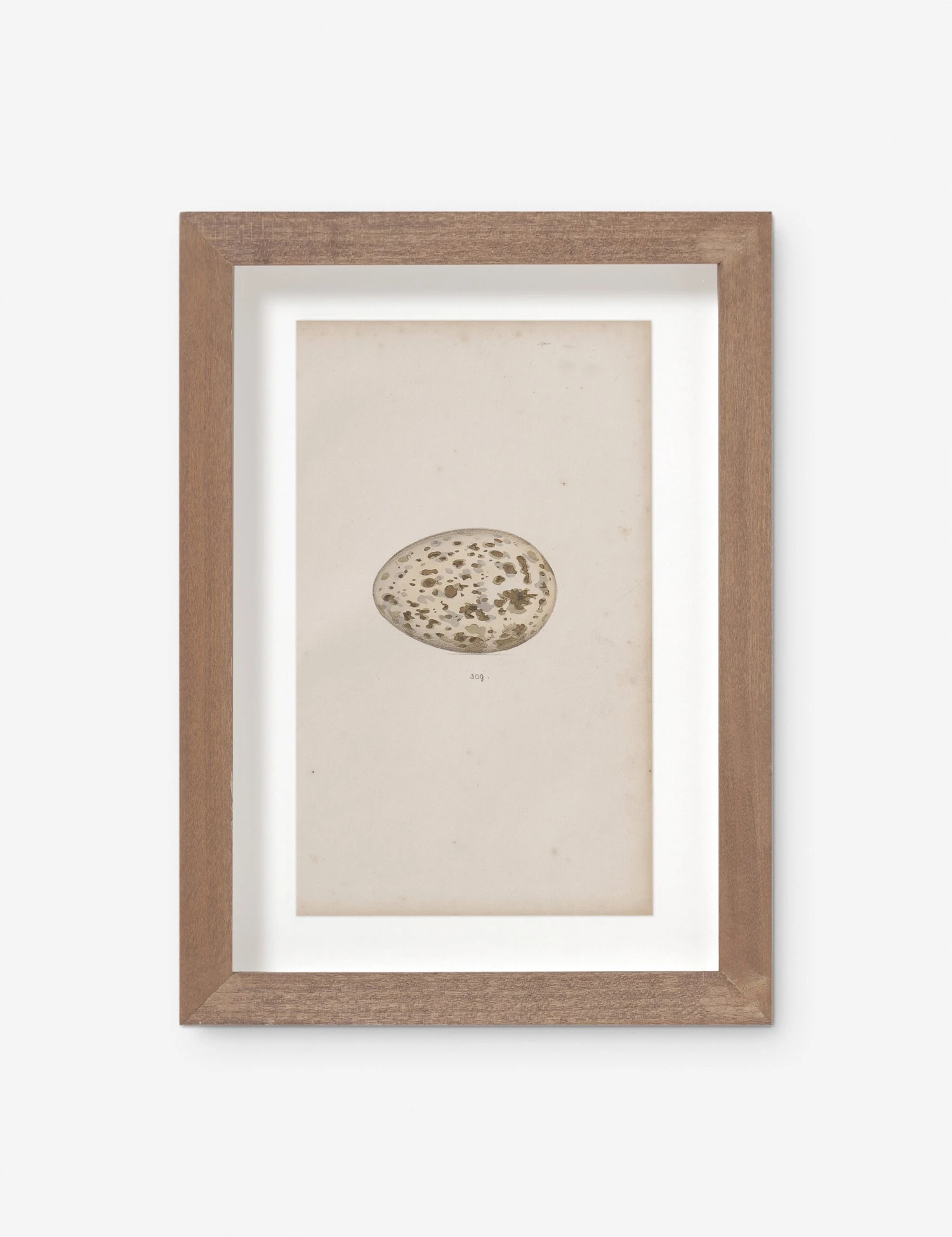 Vintage Bird Watercolor No. 309 Wall Art By Visual Contrast 3 Vintage Bird Watercolor No. 309 Wall Art By Visual Contrast