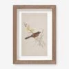 Vintage Bird Watercolor No. 69 Wall Art By Visual Contrast -Home Decor Sale BIRDWC 69 5X8 f4257706 dd80 4e8c 8abd 5d9a9f18599e