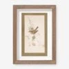 Vintage Bird Watercolor No. 74 Wall Art By Visual Contrast -Home Decor Sale BIRDWC 74 5x8 be9055f1 3cc7 4b93 b299 44948bf211c2