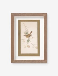 Vintage Bird Watercolor No. 74 Wall Art By Visual Contrast
