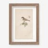 Vintage Bird Watercolor No. 78 Wall Art By Visual Contrast -Home Decor Sale BIRDWC 78 5x8 85325f0e 3aef 4064 bf62 f7045035a1d8