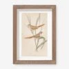 Vintage Bird Watercolor No. 82 Wall Art By Visual Contrast -Home Decor Sale BIRDWC 82 5x8 505f7982 b52e 4a70 b0c6 16fcc17ad18e