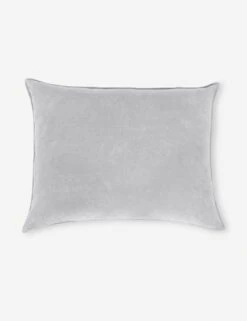 Bianca Velvet Oversized Pillow By Pom Pom At Home 11 Bianca Velvet Oversized Pillow By Pom Pom At Home -Home Decor Sale Biancagreybigpillowcopy