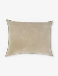 Bianca Velvet Oversized Pillow By Pom Pom At Home 9 Bianca Velvet Oversized Pillow By Pom Pom At Home -Home Decor Sale Biancanaturalbigpillowcopy