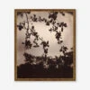 Branche De Pommier Print By Eugène Atget -Home Decor Sale BranchedePommierBronzeFrame