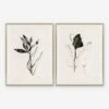 Noir I & II Print By Yuki Osada (Set Of 2) -Home Decor Sale CAC 22 0027 Set