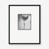 Woman With Chiffon Photography Print By Erwin Blumenfeld -Home Decor Sale CN BKT 19 0055J