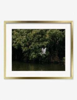 Lake Nicaragua Photography Print By Carley Rudd -Home Decor Sale CarleyRuddLakeNicaraguaGoldFrame