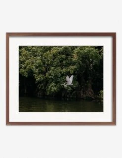 Lake Nicaragua Photography Print By Carley Rudd -Home Decor Sale CarleyRuddLakeNicaraguaWalnutFrame